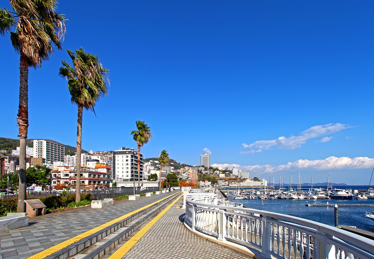 Япония с Востока на Запад + источники у океана (лето 2026) Токио-Киото