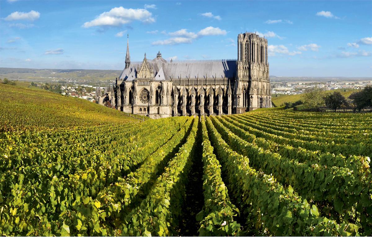 Шампань Рейс